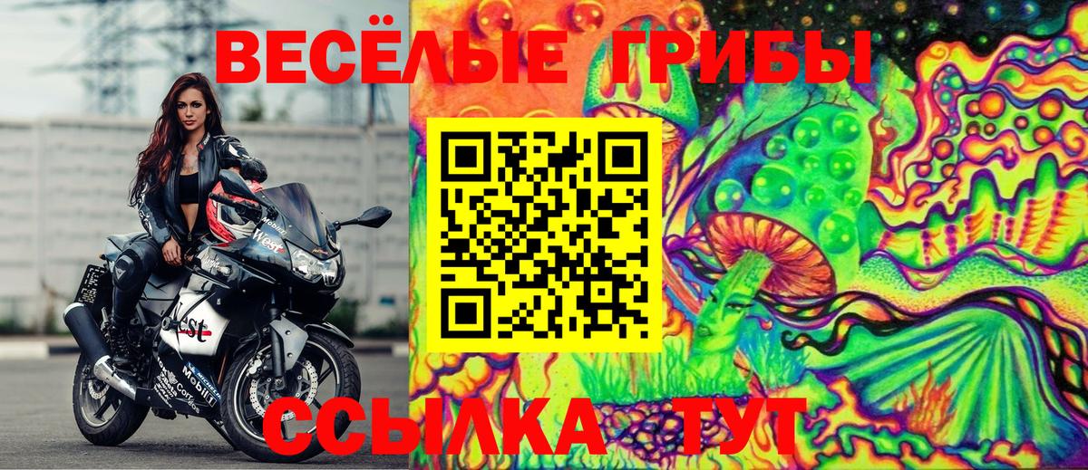 Псилоцибиновые грибы Psilocybine cubensis Каменка