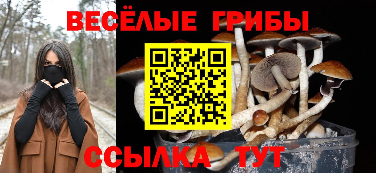 Каменка  Галлюциногенные грибы мухоморы  Вход с VPN 